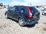 JHLRE38759C****** Salvamento y Reparables 2009 Honda CR-V en Albuquerque