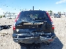 JHLRE38759C****** Salvamento y Reparables 2009 Honda CR-V en Estado de Nuevo México