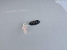 1N4BL4BV1KC****** Salvage 2019 Nissan Altima in Georgia State