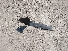 3GCPWBEH7LG****** Wrecked 2020 Chevrolet Silverado 1500 in Texas State