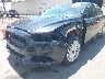 3FA6P0PU6DR****** Salvamento y Reparables 2013 Ford Fusion en Estado de California