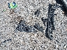 WDDGF5EB3AA****** Wrecked 2010 Mercedes-Benz C-Class in Tennessee State