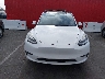 5YJYGAEE4MF****** Wrecked 2021 Tesla Model Y in California State