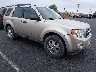 1FMCU0DG2BK****** Salvamento y Destrozados 2011 Ford Escape en Las Vegas