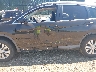 2HKRM4H70EH****** Salvamento y Reparables 2014 Honda CR-V en Estado de Nueva York
