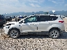 1FMCU9G90EU****** Reparables 2014 Ford Escape en Estado de Montana