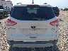 1FMCU9G90EU****** Destrozados 2014 Ford Escape