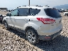 1FMCU9G90EU****** Salvamento y Reparables 2014 Ford Escape en Missoula