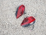 JN8AT2MV8LW****** Wrecked 2020 Nissan Rogue in Indiana State