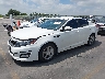 5XXGM4A71FG****** Used and Repairable 2015 Kia Optima in Austin North