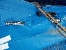 1FTMF1EW3AK****** Salvage and Repairable 2010 Ford F-150 in Kentucky State