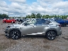 JTJBARBZ7K2****** Reparables 2019 Lexus NX 300 en Estado de Indiana