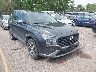 5NMS2DAJ1PH****** Salvage and Wrecked 2023 Hyundai Santa Fe in Denver East