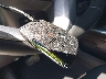 1GTUUCED3TZ****** Salvage 2026 GMC Sierra 1500 in Texas State
