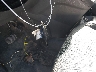 NM0LS7E72M1****** Salvamento 2021 Ford Transit Connect en Estado de Texas