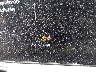 5XYRKDJF2SG****** Wrecked 2025 Kia Sorento