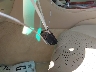 JTHBE96SX80****** Salvage 2008 Lexus GS 350 in Texas State