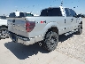 1FTFX1EVXAF****** Salvamento y Destrozados 2010 Ford F-150 en Estado de Texas