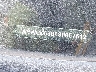 WVWUK63B53P****** Salvage 2003 Volkswagen Passat in New York State