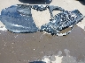 JTJGKCEZXS2****** Wrecked 2025 Lexus NX in Arizona State