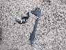 5XYP24GC8SG****** Wrecked 2025 Kia Telluride in Louisiana State