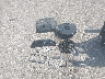 WA1L2AFP8GA****** Wrecked 2016 Audi Q5 in Minnesota State