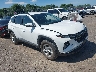 5NMJBCAE8PH****** Salvamento y Destrozados 2023 Hyundai Tucson en Syracuse