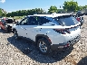 5NMJBCAE8PH****** Salvamento y Reparables 2023 Hyundai Tucson en Syracuse
