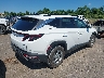 5NMJBCAE8PH****** Salvamento y Destrozados 2023 Hyundai Tucson en Estado de Nueva York