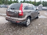 3CZRE4H57BG****** Salvage and Wrecked 2011 Honda CR-V in Virginia State