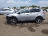 2T3WFREV8GW****** Reparables 2016 Toyota RAV4 en Estado de Arkansas