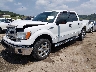 1FTFW1ET6EK****** Usados y Reparables 2014 Ford F-150 en Buckhannon
