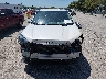JF2SKAEC8KH****** Reparables 2019 Subaru Forester