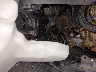 2HKRW2H92MH****** Salvamento y Reparables 2021 Honda CR-V en Long Island