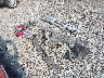 1C6RR6LT1JS****** Wrecked 2018 RAM 1500 in Washington State