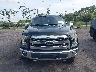 1FTEW1EF3GK****** Destrozados 2016 Ford F-150 en Estado de Florida