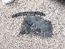 JTDEAMDE9MJ****** Wrecked 2021 Toyota Corolla in Indiana State