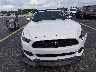 1FATP8UHXF5****** Destrozados 2015 Ford Mustang en Estado de Florida