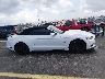 1FATP8UHXF5****** Usados 2015 Ford Mustang en Estado de Florida