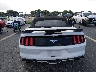 1FATP8UHXF5****** Destrozados 2015 Ford Mustang