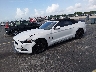 1FATP8UHXF5****** Usados y Reparables 2015 Ford Mustang en Miami North