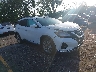 5N1AZ2CJ6LN****** Salvage and Wrecked 2020 Nissan Murano in West Palm Beach