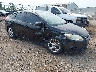 1FADP3F29EL****** Salvamento y Destrozados 2014 Ford Focus en Cincinnati