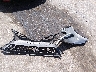 4T1K61AK6RU****** Wrecked 2024 Toyota Camry in Texas State