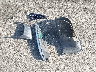 WP1AF2A25GL****** Destrozados 2016 Porsche Cayenne en Estado de Carolina del Norte
