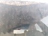 5YJ3E1EB2PF****** Salvamento 2023 Tesla Model 3 en Denver East