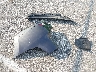 KNDMB5C11G6****** Wrecked 2016 Kia Sedona in Indiana State