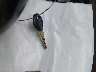 4USCJ333XWL****** Salvage 1998 BMW Z3 in Ohio State