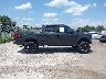 1FTEW1EF5GK****** Reparables 2016 Ford F-150 en Estado de Florida