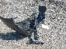 1N4AA6AP0GC****** Destrozados 2016 Nissan Maxima en Estado de Massachusetts